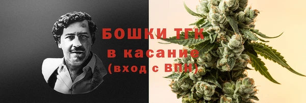 ешки Богданович