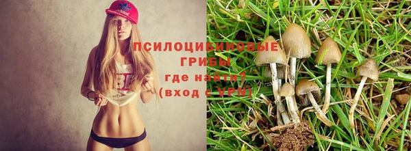 бошки Богородицк