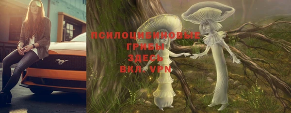 кокаин перу Бородино