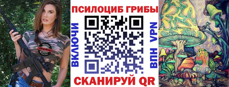 Псилоцибиновые грибы GOLDEN TEACHER Будённовск